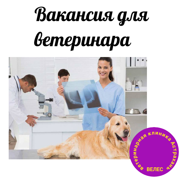 Вакансия для ветеринара