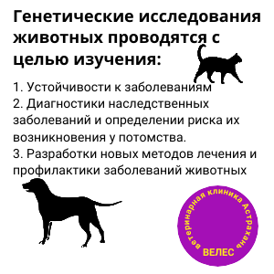 генетическое исследование животных Астрахань (зооген)